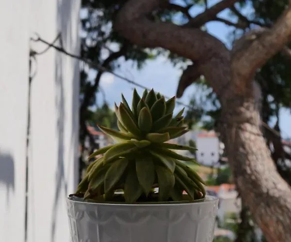 Koukounari 新马尔马拉斯