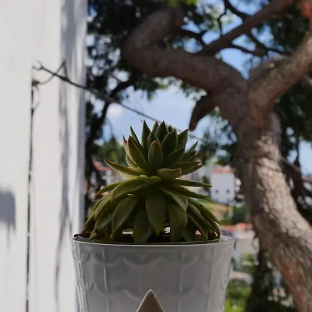 Koukounari Неос-Мармарас